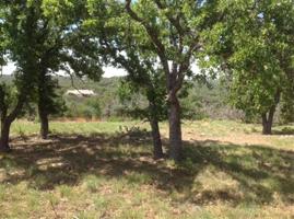 41122 Dalton Circle