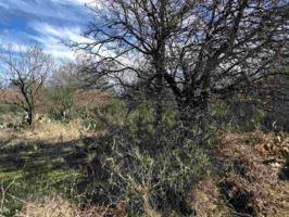 Lots 356 & 357 Eastcrest Drive