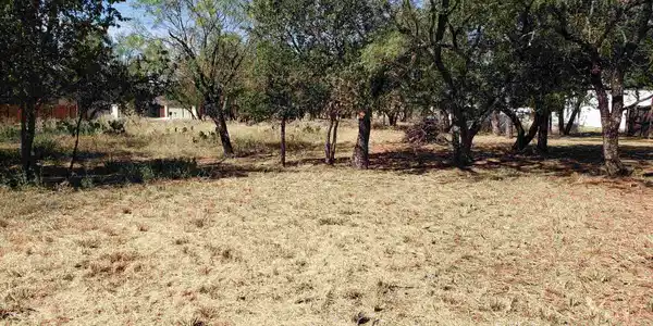 TBD Pine Ln