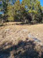 Lot K14103 Ho Down