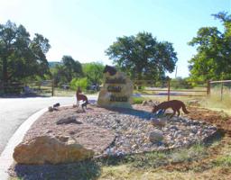 Lot 1313 Quarter Horse Circle