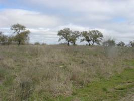 Lot 25 Lookout Mountain Dr
