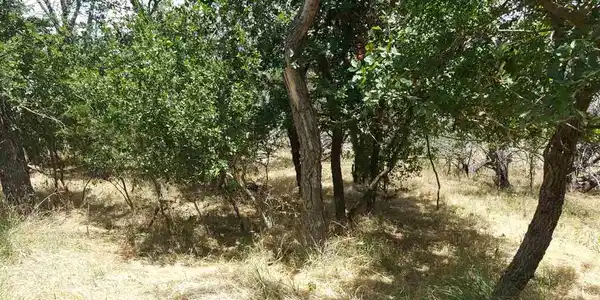 Lot570 Palm Street