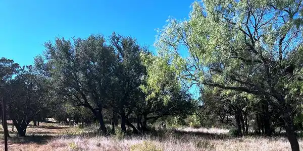 TBD Whitetail Drive