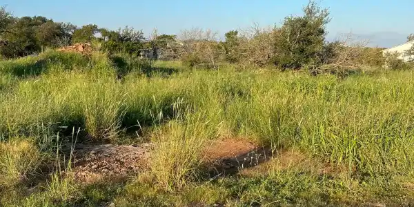 Lot 750 Zuleme St
