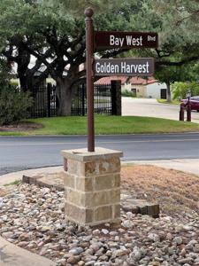 A5031 Golden Harvest