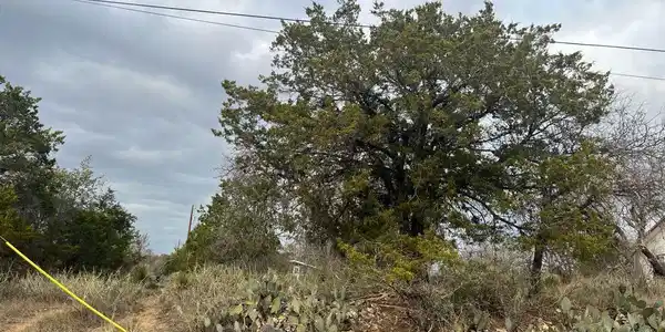 Image 3 Image 3