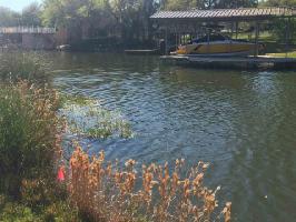 2401 Lawson (0.269  acre lot)