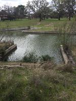 Green Acres Dr