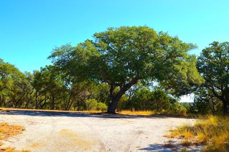 K12104 Custers Circle