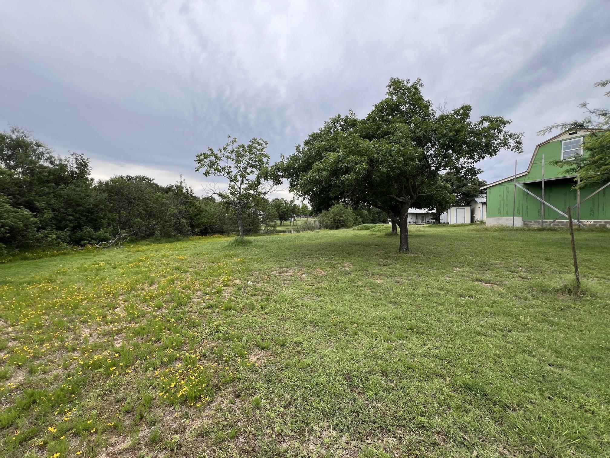 Image 4 Image 4