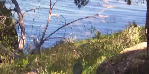 Lot 20 Sunset Cliff Rd