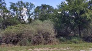 Lot 618 Overstreet Drive