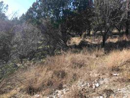 K9068 Ponderosa Bend