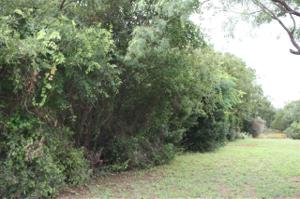 LOT 3 E CR 139