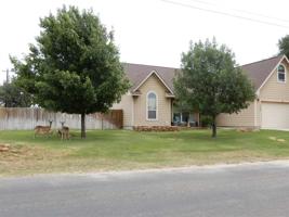 178 W Bluebriar Drive