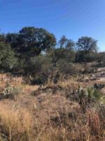 TBD LIVE OAK