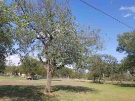 827 828 W Hickory