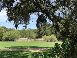 Lot W21023 Sun Ray