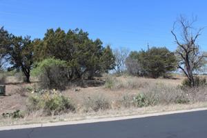 Lot 18047 Indian Paint Trail