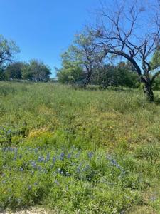 LT W 18072 Spider Valley