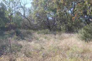 Concho Trail