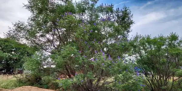 Lot 13 Lakeview Dr