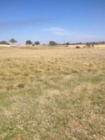 183 La Serena Loop