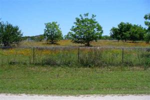 Lot 29 River Oaks Dr