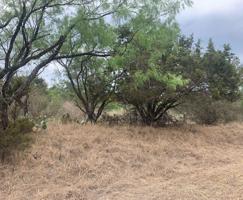 Quail Drive