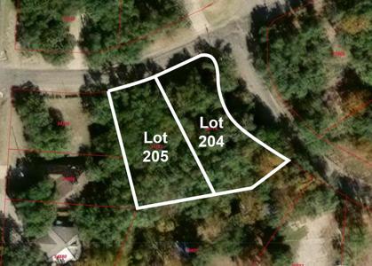 Lots 204 & 205 Deer Hollow Dr.