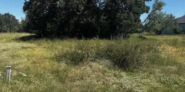 Image 4 Image 4