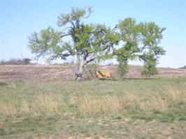 lot 85 Nauman Dr