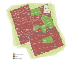 Tract 55-6 Miller Creek Ranch