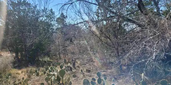 TBD Stellar Drive