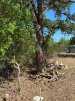 Lot 290 Sioux Trail