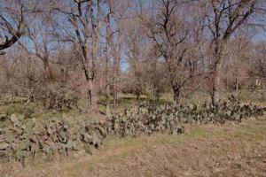 Lots 319 & 642 Eastcrest Drive