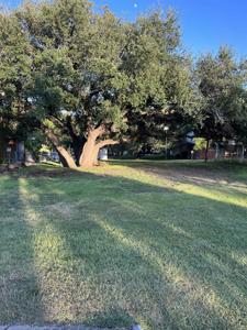 Lot 19, 1216 Cr 132A
