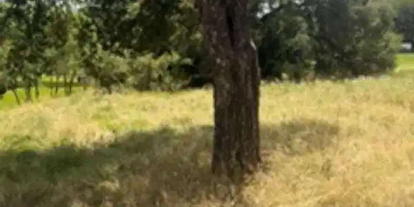 Image 3 Image 3