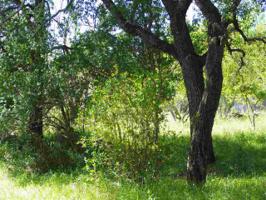lot 138 Lagoon Loop