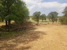 Lot 17 Skyview