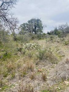 00 Lot 116,117 Scenic Drive