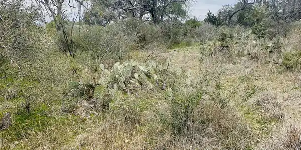 00 Lot 116,117 Scenic Drive