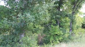 lot 121 River Oaks Drive