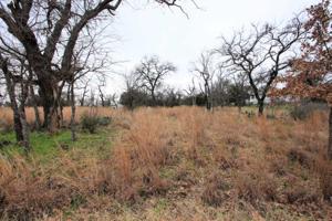 Lot 85A Hill Burn Drive