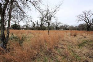 Lot 87A Hill Burn Drive