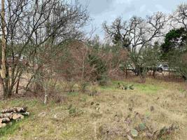 Lot 218 Cree Trail