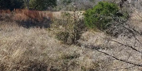 Image 3 Image 3