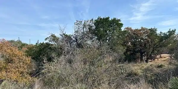 Image 4 Image 4