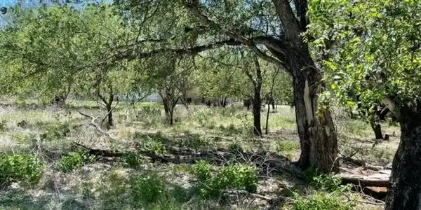 TBD Cypress Lane Lane